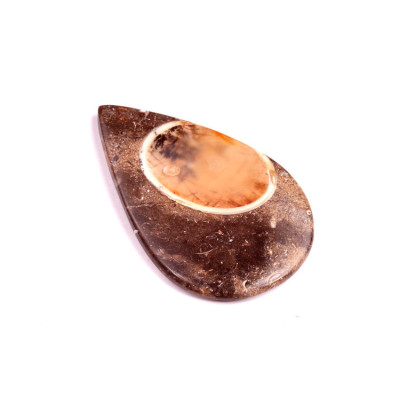 Kabošon Colus Fossil č.248 (49x30mm)