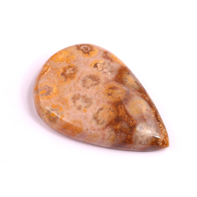 Cabochon Fossil Coral No. 2082 (39x26x7mm)