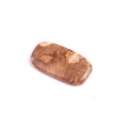 Cabochon Palm Root Jasper No. 1595 (30x17x4mm)