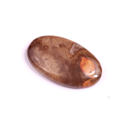 Cabochon Palm Root Jasper No. 1598 (36x21x6mm)