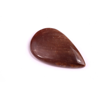 Kabošon Palm Root Jasper č.1601 (33x20x5mm)