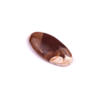 Kabošon Palm Root Jasper č.1607 (29x14x5mm)