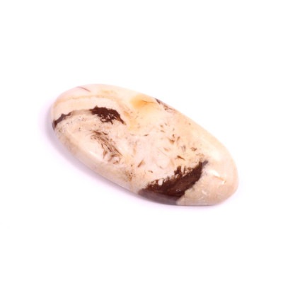 Cabochon Palm Root Jasper No. 1612 (39x18x6mm)