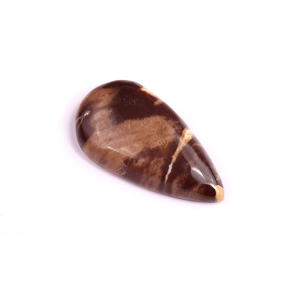Kabošon Palm Root Jasper č.1613 (33x18x6mm)