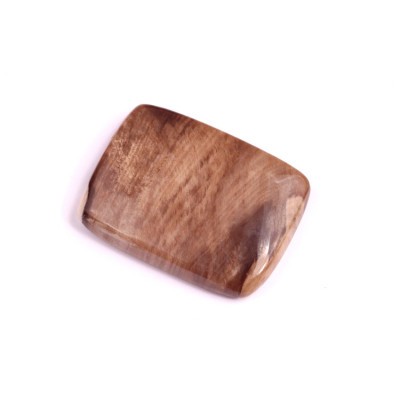 Kabošon Palm Root Jasper č.1615 (29x22x5mm)
