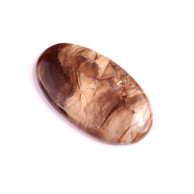 Kabošon Palm Root Jasper č.1971 (38x22x4mm)