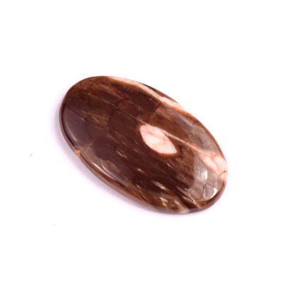 Cabochon Palm Root Jasper No. 1973 (38x23x5mm)