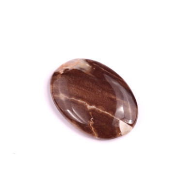 Cabochon Palm Root Jasper No. 1974 (28x20x5mm)