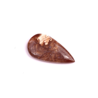 Cabochon Palm Root Jasper No. 1975 (29x15x5mm)