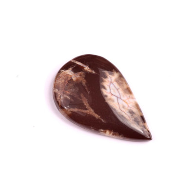 Cabochon Palm Root Jasper No. 1976 (33x21x5mm)