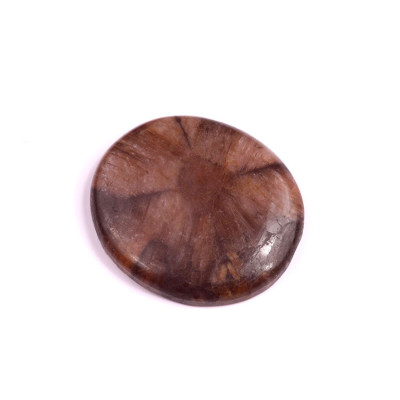 Kabošon Chiastolite Jasper č.1810 (37x33x6mm)