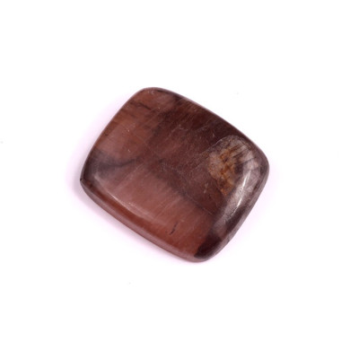 Cabochon Chiastolite Jasper No. 1813 (27x23x6mm)