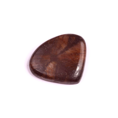 Cabochon Chiastolite Jasper No. 1816 (31x27x5mm)