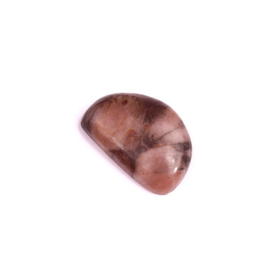 Cabochon Chiastolite Jasper No. 1822 (25x17x5mm)