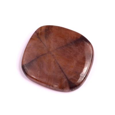 Cabochon Chiastolite Jasper No. 1824 (37x34x7mm)