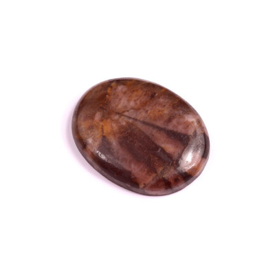 Cabochon Chiastolite Jasper No. 1825 (32x24x6mm)