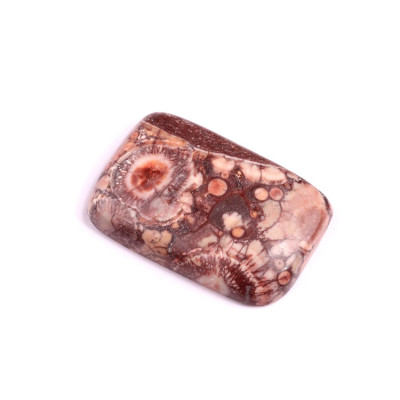 Kabošon Birds Eye Jasper č.2150 (30x20x6mm)