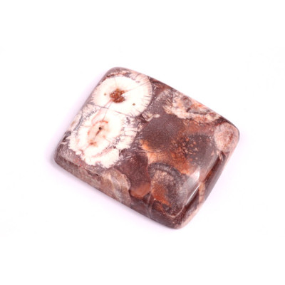 Cabochon Birds Eye Jasper No. 2158 (28x24x6mm)