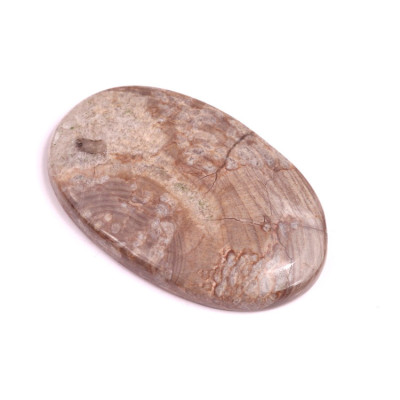 Kabošon Mushroom Rhyolite č.334 (43x28mm)