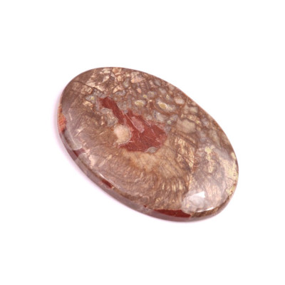 Cabochon Mushroom Rhyolite No. 336 (44x29mm)