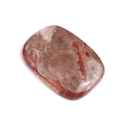 Cabochon Mushroom Rhyolite No. 343 (40x29mm)