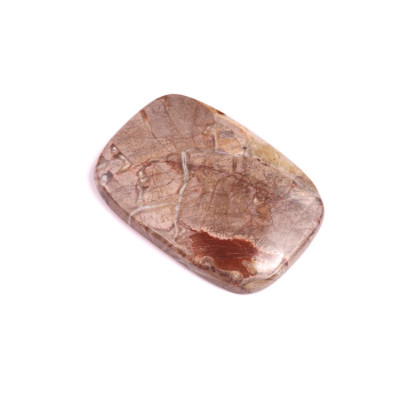 Cabochon Mushroom Rhyolite No. 352 (41x29mm)