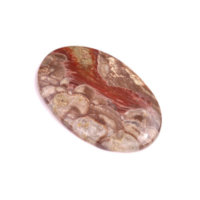 Cabochon Mushroom Rhyolite No. 356 (51x32 mm)