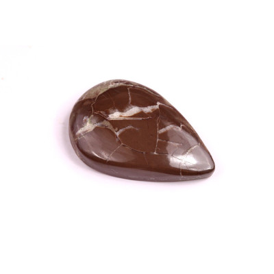 Cabochon Pyrite Septarian No. 1222 (31x20mm)