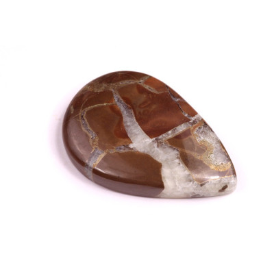 Cabochon Pyrite Septarian No. 1224 (37x25mm)