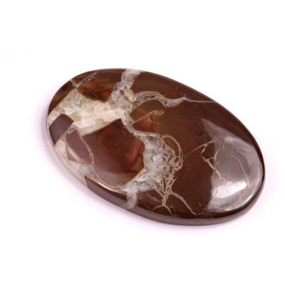 Cabochon Pyrite Septarian No. 1226 (44x28mm)