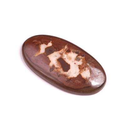 Cabochon Septarian No. 309 (41x22mm)