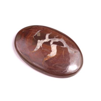 Cabochon Septarian No. 317 (43x28mm)
