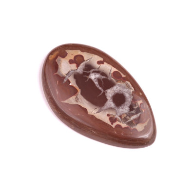 Cabochon Septarian No. 325 (47x29mm)