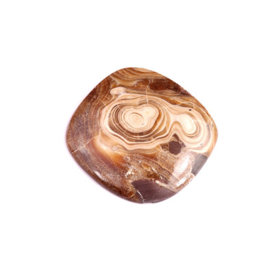 Cabochon Wood Schalenblende No. 766 (40x38mm)