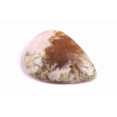 Cabochon Tree Agate No. 2576 (36x27x7mm)