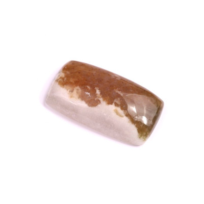 Cabochon Tree Agate No. 2583 (30x17x8mm)