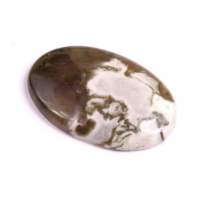 Cabochon Tree Agate No. 2591 (43x28x6mm)