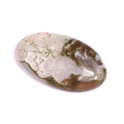 Cabochon Tree Agate No. 2593 (41x26x7mm)