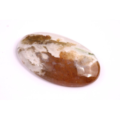 Cabochon Tree Agate No. 2594 (40x24x7mm)