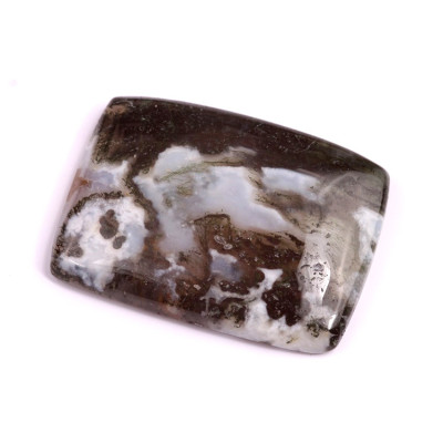 Cabochon Tree Agate No. 2596 (38x29x7mm)