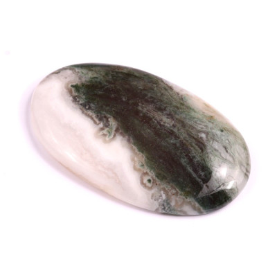 Cabochon Tree Agate No. 2597 (46x28x6mm)