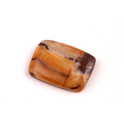 Cabochon Tiger Eye No.4826 (23x16x5mm)