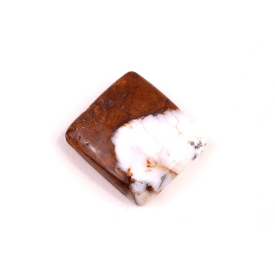 Cabochon Turkish Dendrite No. 4665 (21x18x6mm)