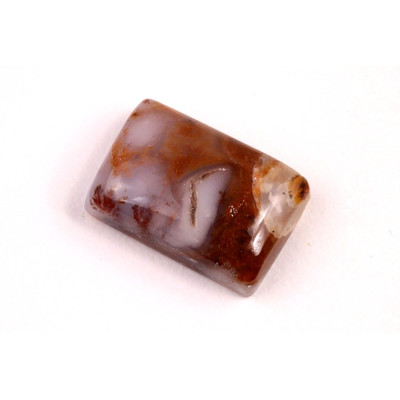 Cabochon Turkish Dendrite No. 4667 (20x14x7mm)