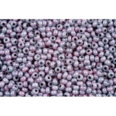 Preciosa seed beads 10/0 No 882 grey