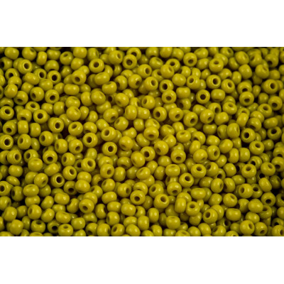 Preciosa seed beads 10/0 No 476 green