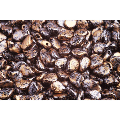 Preciosa Pip par Puca 5x7mm Black Granite Gold 45704 | Czech Beads