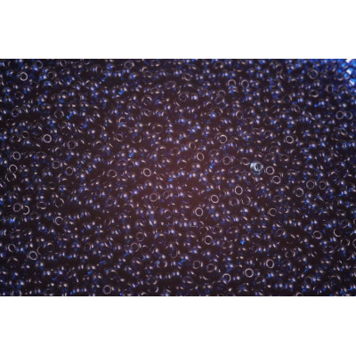 PRECIOSA Rocaille 10/0 N. 714 Blu