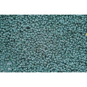 PRECIOSA Seed beads 11/0 N. 1020 Silver