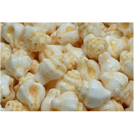 Perline Conchiglia & Mare